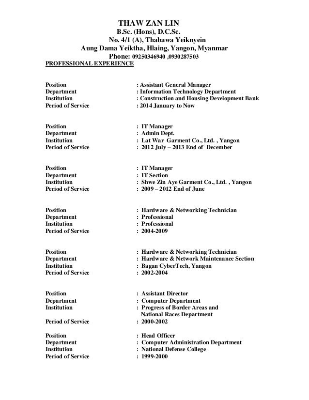 information technology cv