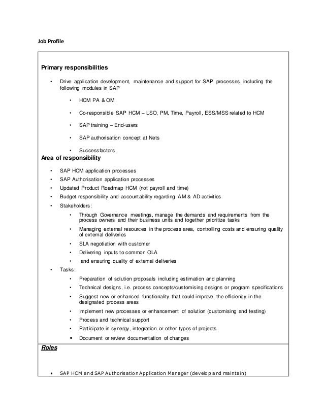 job profile at nets sap hcm consultant dan chi chan 1 638