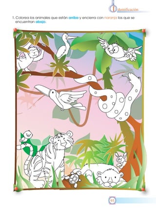 I

dentificación

1. Colorea los animales que están arriba y encierra con naranja los que se
encuentran abajo.

93

 