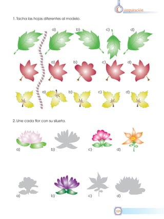 C omparación
1. Tacha las hojas diferentes al modelo.
a)

b)

a)

a)

c)

b)

d)

c)

b)

d)

c)

d)

2. Une cada flor con su silueta.

a)

b)

c)

d)

a)

b)

c)

d)

109

 