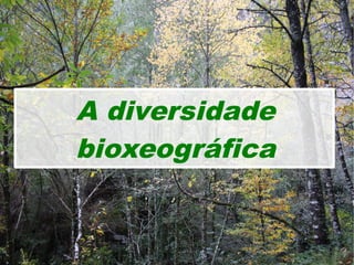 A diversidade
bioxeográfica

 