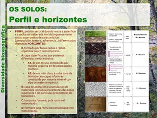 Diversidade bioxeográfica

OS SOLOS:

Perfil e horizontes


PERFIL: sección vertical do solo entre a superficie
e a rocha nai inalterada. Nel distínguense varias
capas superpostas de características
(composición, textura, adherencia...) diferenciadas
chamadas HORIZONTES:




0, formado por follas caídas e restos
orgánicos pouco descompostos.
A: capa superficial no que podemos
diferenciar varios estratos:










A1, de cor escura, constituído por
materia orgánica en descomposición
(humus).
A2: de cor máis clara, é unha zona de
lixiviado cara capas inforiores
constituída por materia mineral con
algo de materia orgánica.

B: capa de alteración e acumulación de
materiales lixiviadas procedentes das capas
superiores e de particulas procedentes do
horizonte C.
C: horizonte formado pola rocha nai
meteorizada.
D: formado pola rocha nai consolidada (non
meteorizada).

 
