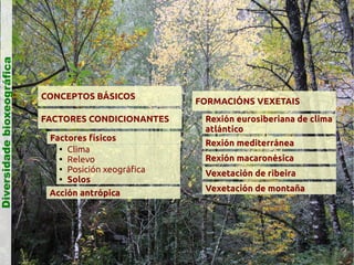 Diversidade bioxeográfica

CONCEPTOS BÁSICOS
FACTORES CONDICIONANTES
Factores físicos

Clima

Relevo

Posición xeográfica

Solos
Acción antrópica

FORMACIÓNS VEXETAIS
Rexión eurosiberiana de clima
atlántico
Rexión mediterránea
Rexión macaronésica
Vexetación de ribeira
Vexetación de montaña

 