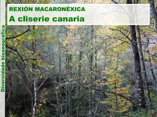 Diversidade bioxeográfica

REXIÓN MACARONÉXICA

A cliserie canaria

 