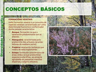 Diversidade bioxeográfica

CONCEPTOS BÁSICOS
FORMACIÓNS VEXETAIS:
Unha formación vexetal é un conxunto de
especies vexetais caracterizado por unha
determinada fisonomía e conformador
dunha paisaxe característica:

Bosque: formación na que a
vexetación predominante son as
árbores.

Matogueira: caracterizada polo
predominio dos arbustos (prantas
leñosas de mediano porte).

Pradeira: vexetación herbácea que
medra de xeito espontáneo.

Estepa: formación característica de
áreas áridas na que predominan
especies esclerófilas, xeralmente
agrupadas en pequenas manchas
dispersas, e algúns arbustos.

 