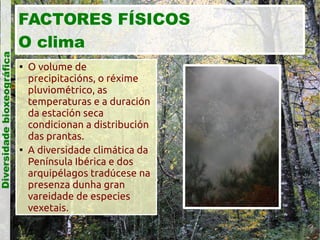 Diversidade bioxeográfica

FACTORES FÍSICOS
O clima




O volume de
precipitacións, o réxime
pluviométrico, as
temperaturas e a duración
da estación seca
condicionan a distribución
das prantas.
A diversidade climática da
Península Ibérica e dos
arquipélagos tradúcese na
presenza dunha gran
vareidade de especies
vexetais.

 