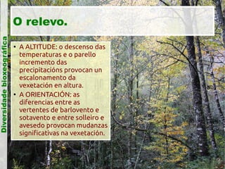 Diversidade bioxeográfica

O relevo.




A ALTITUDE: o descenso das
temperaturas e o parello
incremento das
precipitacións provocan un
escalonamento da
vexetación en altura.
A ORIENTACIÓN: as
diferencias entre as
vertentes de barlovento e
sotavento e entre solleiro e
avesedo provocan mudanzas
significativas na vexetación.

 