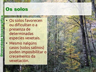 Diversidade bioxeográfica

Os solos




Os solos favorecen
ou dificultan o a
presenza de
determinadas
especies vexetais.
Mesmo nalgúns
casos (solos salinos)
poden imposibilitar o
crecemento da
vexetación.

 