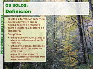 Diversidade bioxeográfica

OS SOLOS:

Definición




O solo é a formación superficial
da codia terrestre que se
orixina na área de contacto
entre a litosfera, a biosfera e a
atmosfera.
Compóñeno:






unha parte mineral, resultante da
alteración e descomposición da
rocha nai,
unha parte orgánica, derivada da
descomposición dos restos de
seres vivos,
auga e aire, que ocupan os
espazos porosos existentes entre
as partículas sólidas.

 