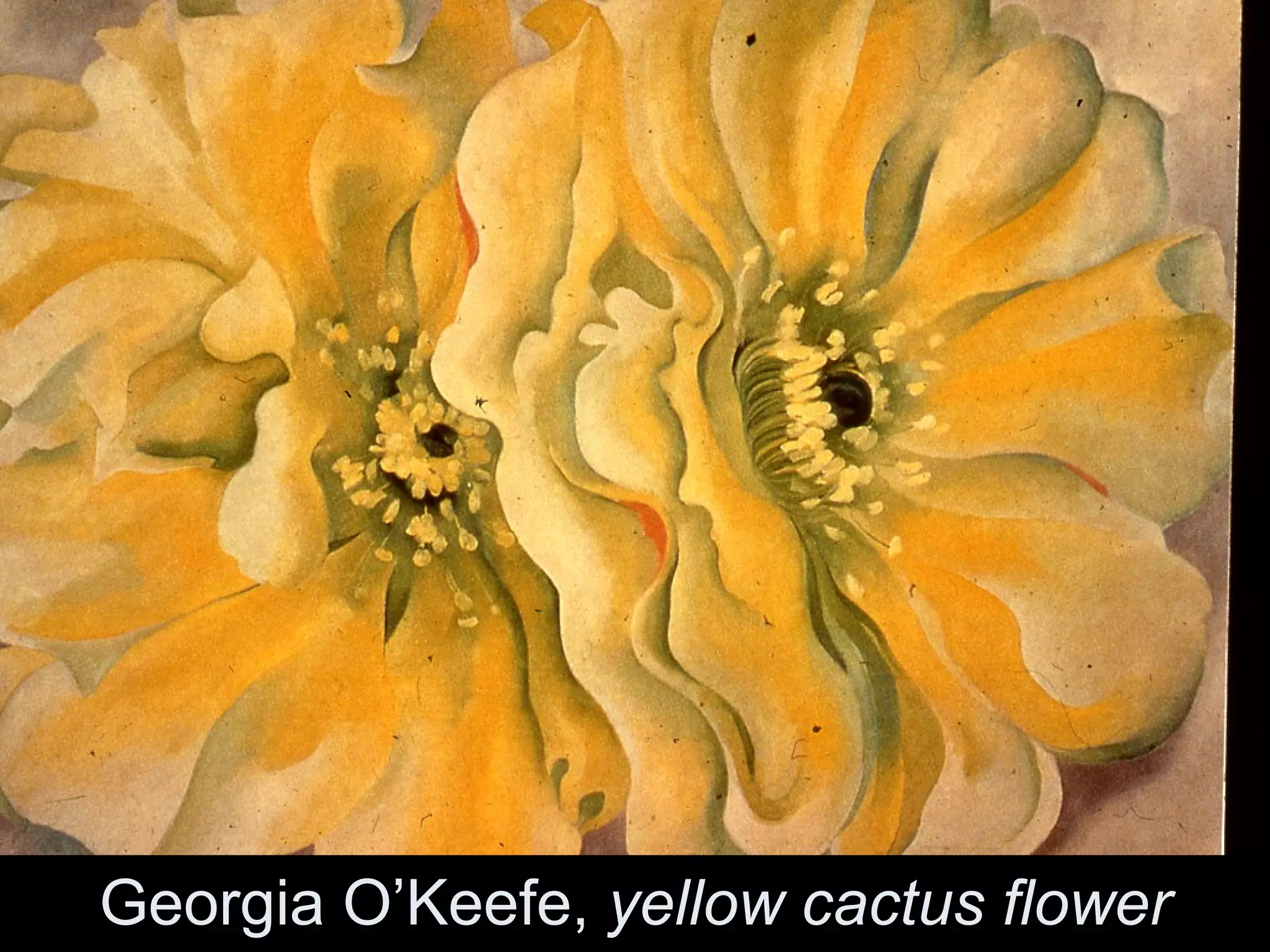 Georgia O’Keefe, yellow cactus flower
 