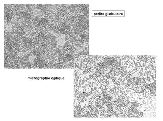 14
perlite globulaire
micrographie optique
 