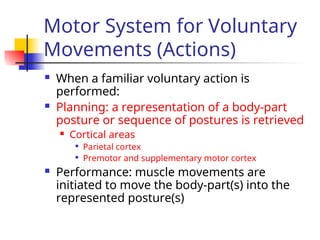 04_Action-theough-education-cognition brain | PPT