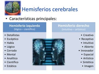 Hemisferios cerebrales
• Características principales:
Hemisferio izquierdo
(lógico – científico)
• Detallistas
• Escéptico
• Habla
• Lógico
• Cerrado
• Mental
• Analítico
• Científico
• Estático
Hemisferio derecho
(intuitivo – artístico)
• Creativo
• Receptivo
• Intuitivo
• Abierto
• Innovador
• Espacial
• Artístico
• Sintético
• Imagen
 
