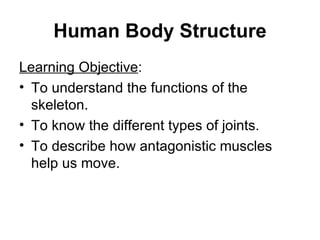 Human Body Structure ,[object Object],[object Object],[object Object],[object Object]