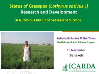 Status of Grasspea (Lathyrus sativus L)
Research and Development
Ashutosh Sarker & the Team
ICARDA- South Asia & China Program
13 November
Bangkok
(A Nutritious but under-researched crop)
 