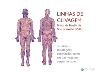 LINHAS DE CLIVAGEM SENTINELAS ANTI RUGAS DA FACE | PDF