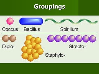 Groupings 