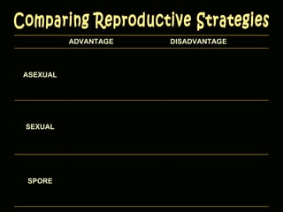 Comparing Reproductive Strategies ADVANTAGE DISADVANTAGE ASEXUAL SEXUAL SPORE 