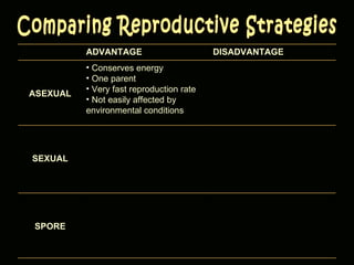 Comparing Reproductive Strategies ADVANTAGE DISADVANTAGE ASEXUAL Conserves energy One parent Very fast reproduction rate Not easily affected by environmental conditions SEXUAL SPORE 
