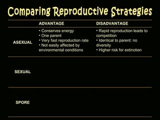 Comparing Reproductive Strategies ADVANTAGE DISADVANTAGE ASEXUAL Conserves energy One parent Very fast reproduction rate Not easily affected by environmental conditions Rapid reproduction leads to competition Identical to parent: no diversity Higher risk for extinction SEXUAL SPORE 