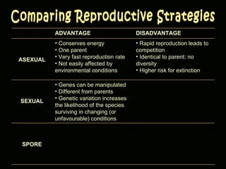 Comparing Reproductive Strategies ADVANTAGE DISADVANTAGE ASEXUAL Conserves energy One parent Very fast reproduction rate Not easily affected by environmental conditions Rapid reproduction leads to competition Identical to parent: no diversity Higher risk for extinction SEXUAL Genes can be manipulated Different from parents Genetic variation increases the likelihood of the species surviving in changing (or unfavourable) conditions SPORE 