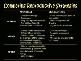 Comparing Reproductive Strategies ADVANTAGE DISADVANTAGE ASEXUAL Conserves energy One parent Very fast reproduction rate Not easily affected by environmental conditions Rapid reproduction leads to competition Identical to parent: no diversity Higher risk for extinction SEXUAL Genes can be manipulated Different from parents Genetic variation increases the likelihood of the species surviving in changing (or unfavourable) conditions Uses more energy Requires two parents Slow Affected by environmental conditions SPORE Able to resist unfavourable conditions (e.g. extreme heat, cold, damaging chemicals, drying) Long life span 