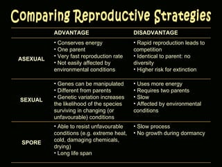 Comparing Reproductive Strategies ADVANTAGE DISADVANTAGE ASEXUAL Conserves energy One parent Very fast reproduction rate Not easily affected by environmental conditions Rapid reproduction leads to competition Identical to parent: no diversity Higher risk for extinction SEXUAL Genes can be manipulated Different from parents Genetic variation increases the likelihood of the species surviving in changing (or unfavourable) conditions Uses more energy Requires two parents Slow Affected by environmental conditions SPORE Able to resist unfavourable conditions (e.g. extreme heat, cold, damaging chemicals, drying) Long life span Slow process No growth during dormancy 