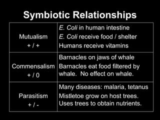 Symbiotic Relationships Mutualism + / + E. Coli  in human intestine E. Coli  receive food / shelter Humans receive vitamins Commensalism + / 0 Barnacles on jaws of whale Barnacles eat food filtered by whale.  No effect on whale. Parasitism + / - Many diseases: malaria, tetanus Mistletoe grow on host trees.  Uses trees to obtain nutrients. 