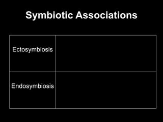 Symbiotic Associations Ectosymbiosis Endosymbiosis 