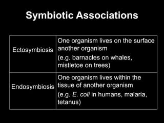 Symbiotic Associations Ectosymbiosis One organism lives on the surface another organism (e.g. barnacles on whales, mistletoe on trees) Endosymbiosis One organism lives within the tissue of another organism (e.g.  E. coli  in humans, malaria, tetanus) 