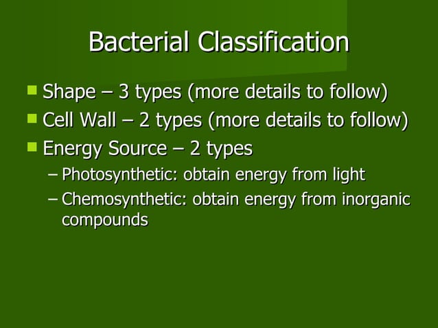 04 archae + bacteria | PPT