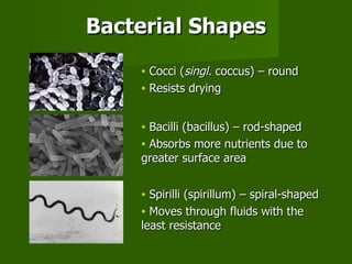Bacterial Shapes Cocci ( singl.  coccus) – round  Resists drying Bacilli (bacillus) – rod-shaped  Absorbs more nutrients due to greater surface area Spirilli (spirillum) – spiral-shaped  Moves through fluids with the least resistance 