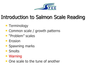 Introduction to Salmon Scale Reading
• Terminology
• Common scale / growth patterns
• “Problem” scales
• Erosion
• Spawning marks
• Smolts
• Warning
• One scale to the tune of another
 