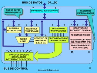 BUS DE DATOS  D7…D0 7  0 REGISTRO ACUMULADOR REGISTRO DE INSTRUCCIONES REGISTRO DE BANDERAS S, C, Z, etc. REGISTROS DE PROPÓSITO GENERAL REGISTROS ÍNDICES REGISTRO CONTADOR DEL PROGRAMA (PC) REGISTRO PUNTERO DE LA PILA (SP) ALU DE 8 BITS 7  0 BUFFER DEL BUS DE DATOS DECODIFICADOR DE INSTRUCCIONES BUS DE CONTROL BUS DE DATOS INTERNO (8 BITS) 7  0 REGISTROS TEMPORALES 7  0 CIRCUITOS LÓGICOS GENERADORES DE TIEMPO Y DE CONTROL 7  0 15  0 7  0 7  0 REGISTROS ESPECIALIZADOS 