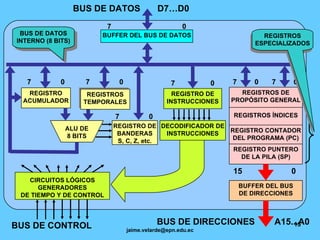 BUS DE DATOS  D7…D0 7  0 REGISTRO ACUMULADOR REGISTRO DE INSTRUCCIONES REGISTRO DE BANDERAS S, C, Z, etc. REGISTROS DE PROPÓSITO GENERAL REGISTROS ÍNDICES REGISTRO CONTADOR DEL PROGRAMA (PC) REGISTRO PUNTERO DE LA PILA (SP) BUFFER DEL BUS DE DIRECCIONES ALU DE 8 BITS 7  0 BUFFER DEL BUS DE DATOS BUS DE DIRECCIONES  A15...A0 DECODIFICADOR DE INSTRUCCIONES BUS DE CONTROL BUS DE DATOS INTERNO (8 BITS) 7  0 REGISTROS TEMPORALES 7  0 CIRCUITOS LÓGICOS GENERADORES DE TIEMPO Y DE CONTROL 7  0 15  0 7  0 7  0 REGISTROS ESPECIALIZADOS 