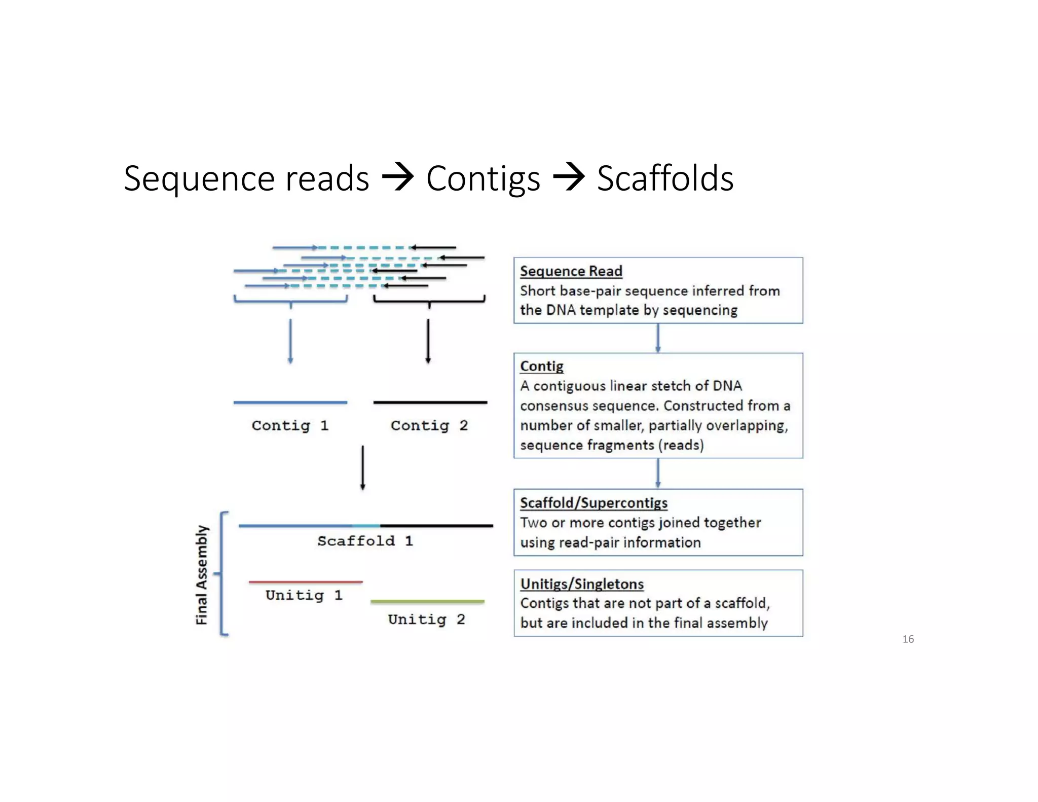 Sequence reads à Contigs à Scaffolds
16
 