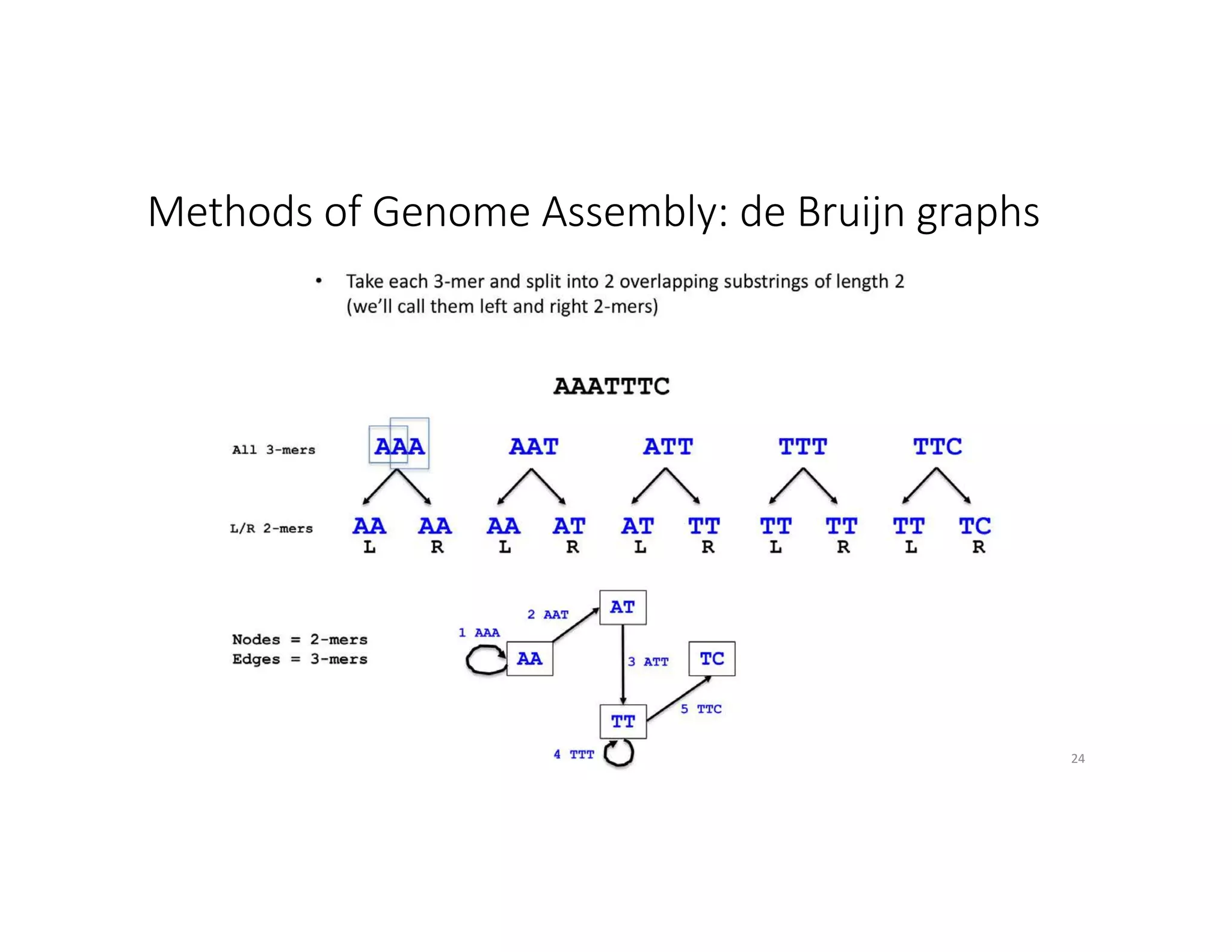 Methods of Genome Assembly: de Bruijn graphs
24
 
