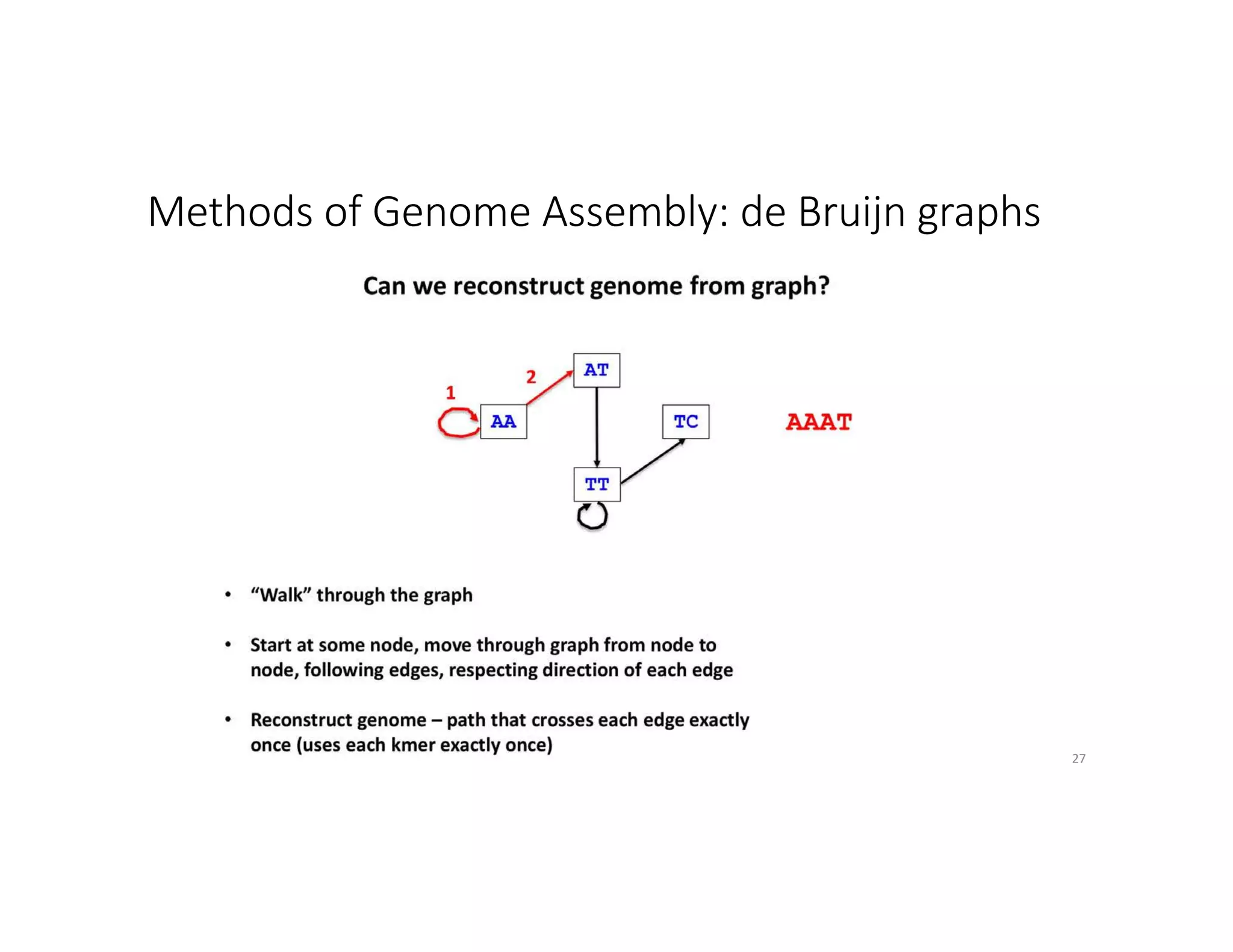 Methods of Genome Assembly: de Bruijn graphs
27
 