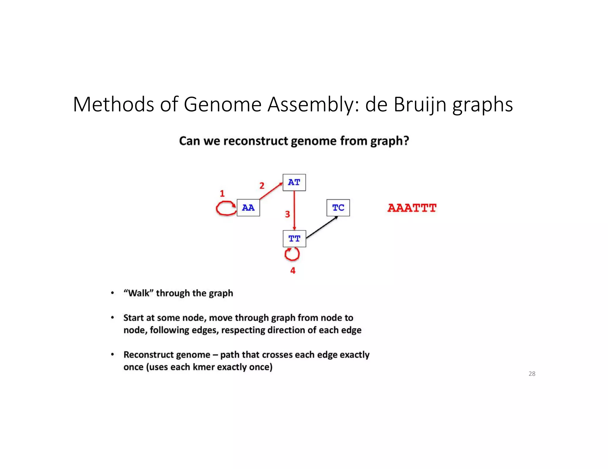 Methods of Genome Assembly: de Bruijn graphs
28
 