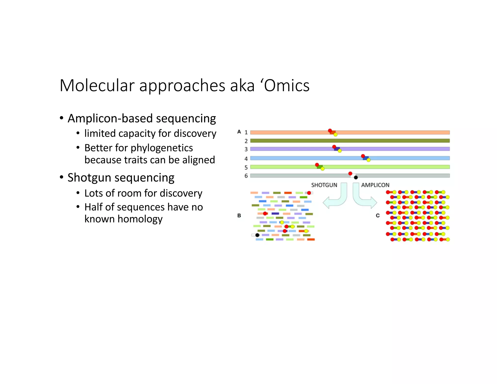 Molecular approaches aka ‘Omics
• Amplicon-based sequencing
• limited capacity for discovery
• Better for phylogenetics
because traits can be aligned
• Shotgun sequencing
• Lots of room for discovery
• Half of sequences have no
known homology
 