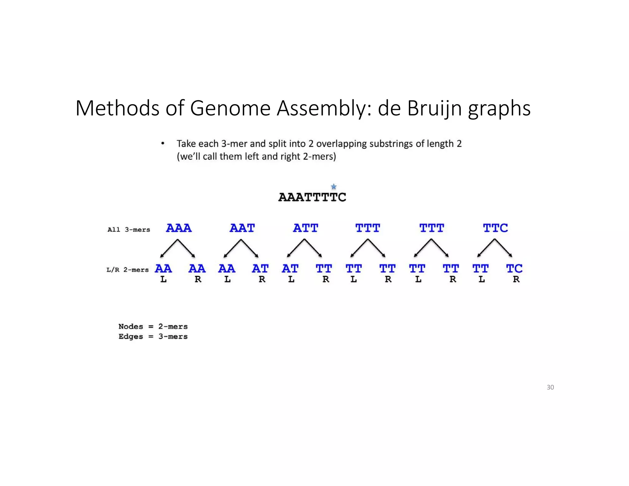 Methods of Genome Assembly: de Bruijn graphs
30
 