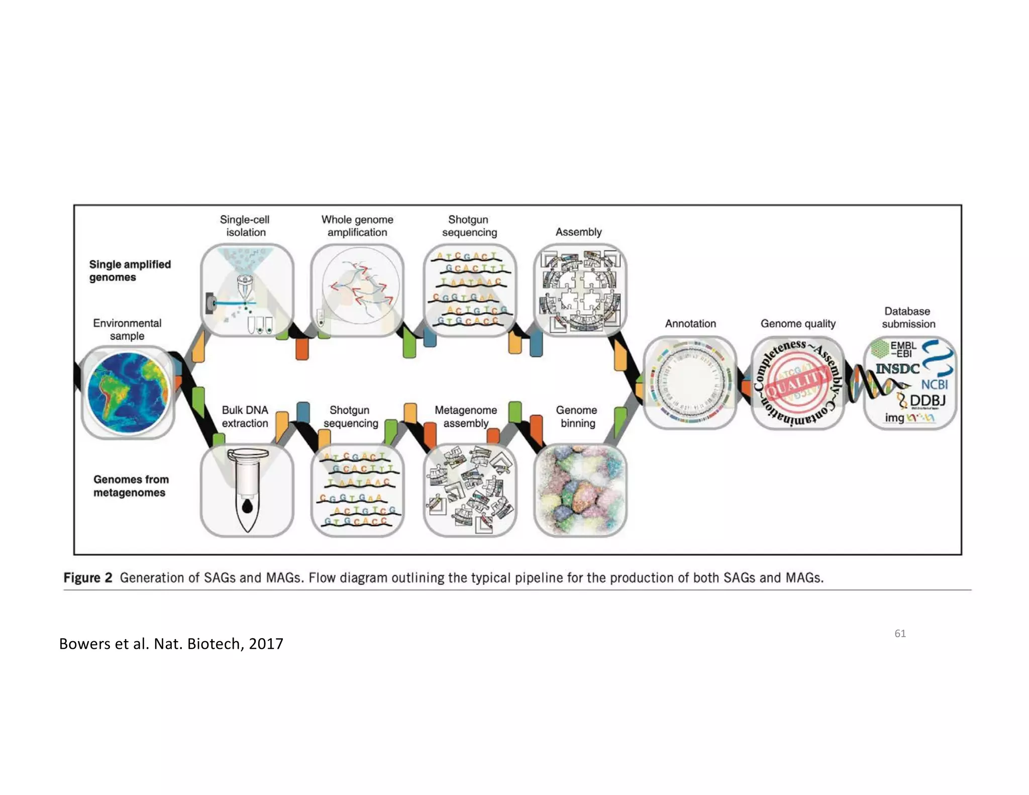 61
Bowers et al. Nat. Biotech, 2017
 