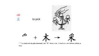 cǎi
采 to pick
 