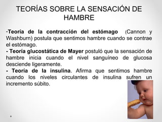 TEORÍAS SOBRE LA SENSACIÓN DE
HAMBRE
-Teoría de la contracción del estómago (Cannon y
Washburn) postula que sentimos hambre cuando se contrae
el estómago.
- Teoría glucostática de Mayer postuló que la sensación de
hambre inicia cuando el nivel sanguíneo de glucosa
desciende ligeramente.
- Teoría de la insulina. Afirma que sentimos hambre
cuando los niveles circulantes de insulina sufren un
incremento súbito.
 