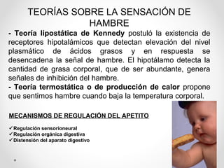 TEORÍAS SOBRE LA SENSACIÓN DE
HAMBRE
- Teoría lipostática de Kennedy postuló la existencia de
receptores hipotalámicos que detectan elevación del nivel
plasmático de ácidos grasos y en respuesta se
desencadena la señal de hambre. El hipotálamo detecta la
cantidad de grasa corporal, que de ser abundante, genera
señales de inhibición del hambre.
- Teoría termostática o de producción de calor propone
que sentimos hambre cuando baja la temperatura corporal.
MECANISMOS DE REGULACIÓN DEL APETITO
Regulación sensorioneural
Regulación orgánica digestiva
Distensión del aparato digestivo
 