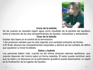 Inicio de la bebida
Se da cuando se necesita ingerir agua como resultado de la pérdida del equilibrio
entre el volumen de los dos compartimientos de líquidos -intracelular y extracelular-
Cese de la bebida
Existen dos fases en el control de la terminación:
1-Se producen señales que ha sido ingerida una cantidad suficiente de fluidos.
2-El fluido alcanza los compartimentos corporales y elimina así las señales de déficit
que ayudaron a iniciar la bebida.
Sabor y bebida
Las personas beben más, cuando se les ofrece diversos sabores apetitosos, que
cuando disponen del mismo sabor en forma repetida. El sabor puede contribuir para
que se beba y el descenso en la estimulación gustativa puede desempeñar un papel
en la finalización de la ingesta de líquidos.
 