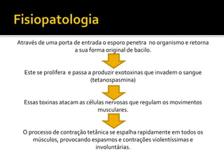 Através de uma porta de entrada o esporo penetra no organismo e retorna
a sua forma original de bacilo.
Este se prolifera e passa a produzir exotoxinas que invadem o sangue
(tetanospasmina)
Essas toxinas atacam as células nervosas que regulam os movimentos
musculares.
O processo de contração tetânica se espalha rapidamente em todos os
músculos, provocando espasmos e contrações violentíssimas e
involuntárias.
 