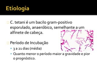 C. tetani é um bacilo gram-positivo
esporulado, anaeróbico, semelhante a um
alfinete de cabeça.
Período de Incubação
 3 a 21 dias (média)
 Quanto menor o período maior a gravidade e pior
o prognóstico.
 