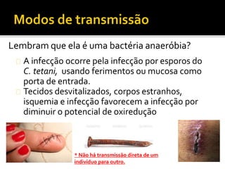 A infecção ocorre pela infecção por esporos do
C. tetani, usando ferimentos ou mucosa como
porta de entrada.
Tecidos desvitalizados, corpos estranhos,
isquemia e infecção favorecem a infecção por
diminuir o potencial de oxiredução
Lembram que ela é uma bactéria anaeróbia?
* Não há transmissão direta de um
indivíduo para outro.
 