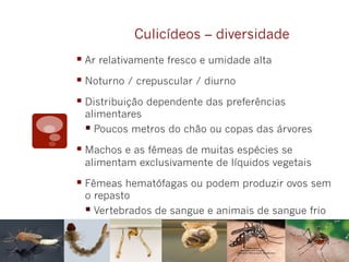 Culicídeos – diversidade
§ Ar relativamente fresco e umidade alta
§ Noturno / crepuscular / diurno
§ Distribuição dependente das preferências
alimentares
§ Poucos metros do chão ou copas das árvores
§ Machos e as fêmeas de muitas espécies se
alimentam exclusivamente de líquidos vegetais
§ Fêmeas hematófagas ou podem produzir ovos sem
o repasto
§ Vertebrados de sangue e animais de sangue frio
 